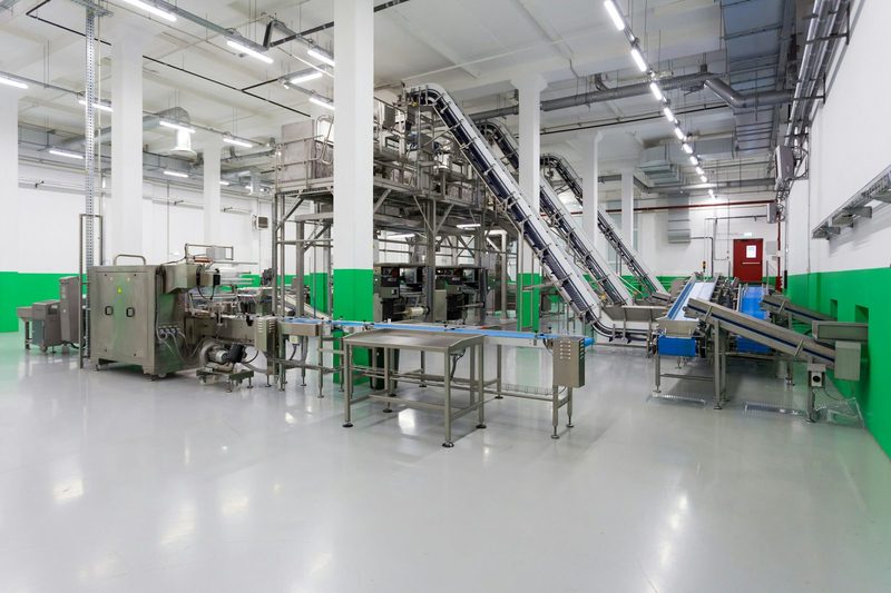 Stainless food processing hall with incline conveyors and weighing/packing machinery